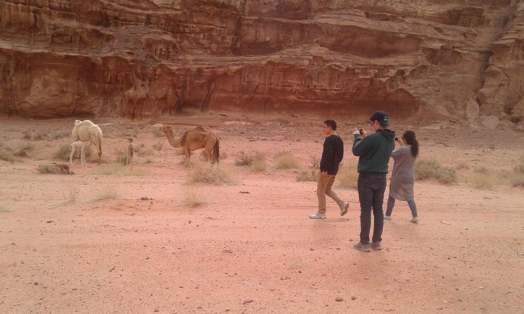 Wadi Rum Light Camp ภายนอก รูปภาพ